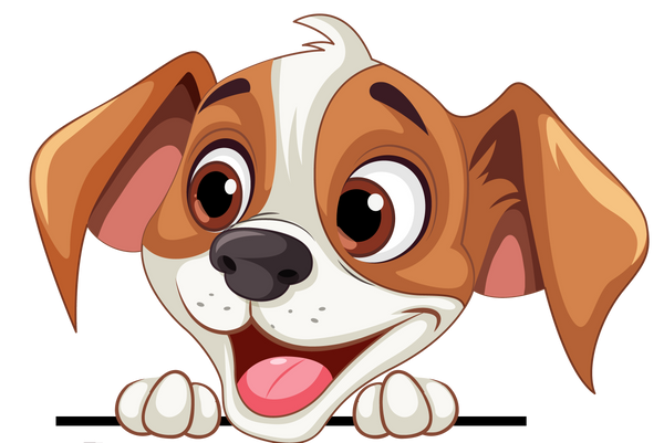 prendre soin de son chien sans risque conseils bien être